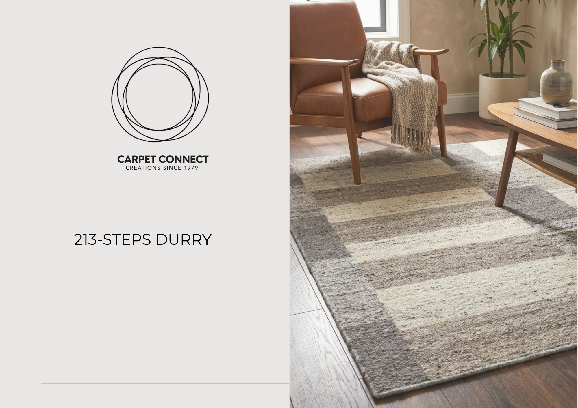 213-STEPS DURRY cover