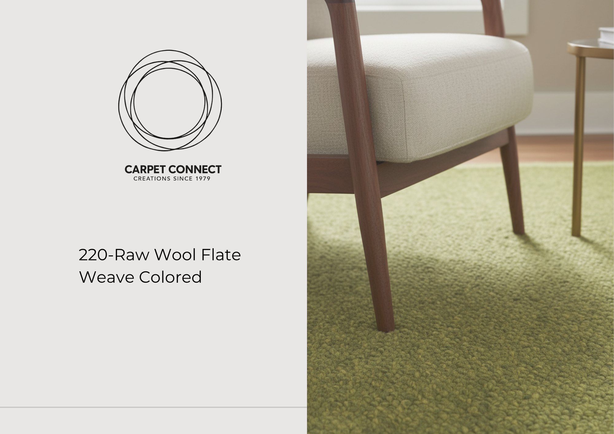 220-RAW WOOL FLAT WEAVE COLOURED cover