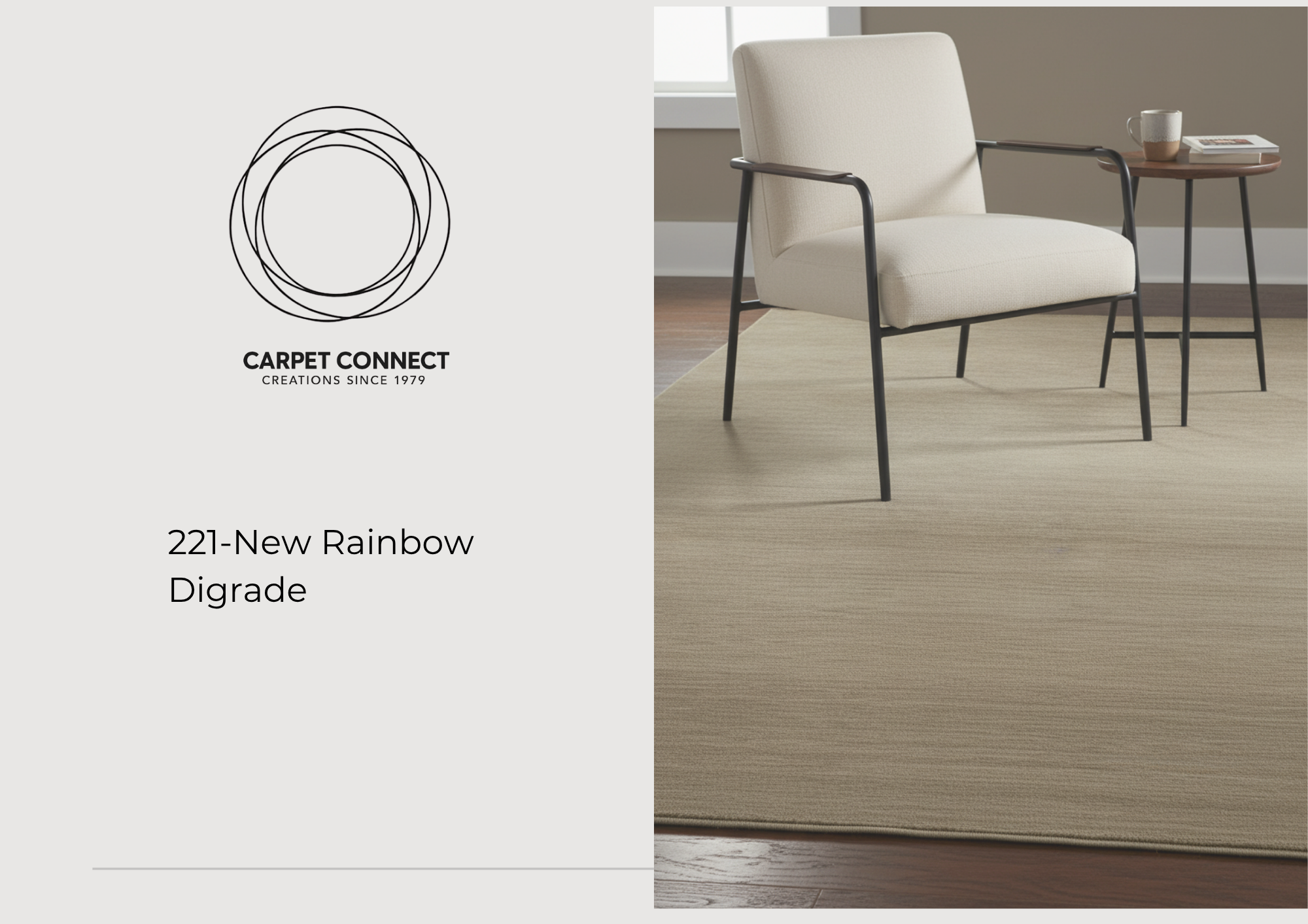 221-New Rainbow  Digrade cover