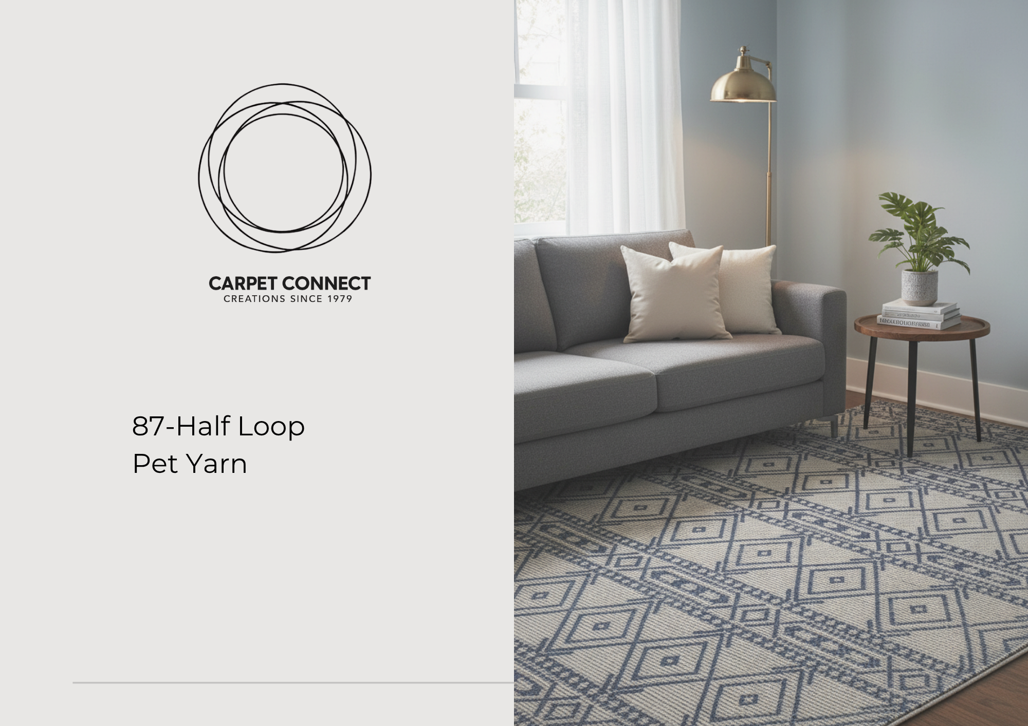 87-Half Loop Pet Yarn cover