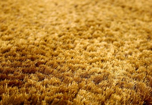 Shaggy carpet texture
